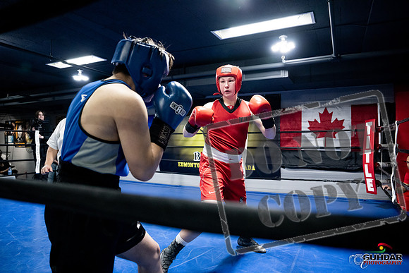 Cougar Boxing -0485