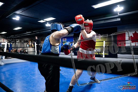 Cougar Boxing -0486