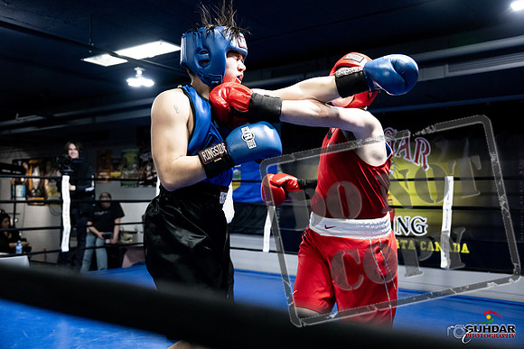 Cougar Boxing -0488