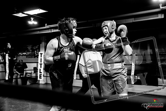 Cougar Boxing -0489