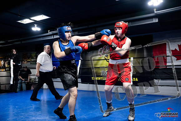 Cougar Boxing -0491