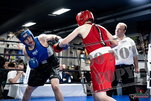 Cougar Boxing -0493