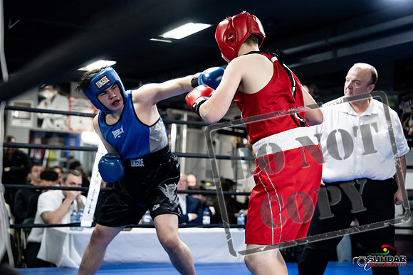 Cougar Boxing -0494