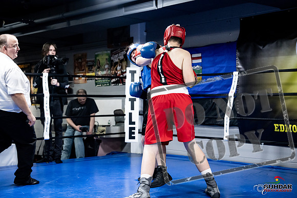 Cougar Boxing -0495