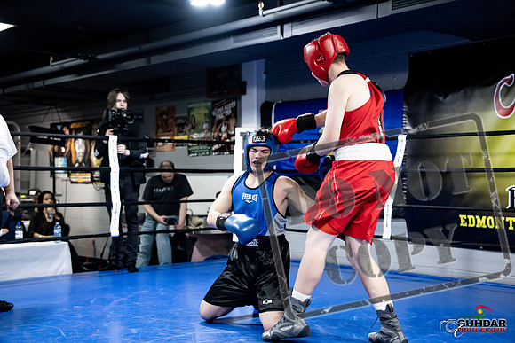 Cougar Boxing -0498