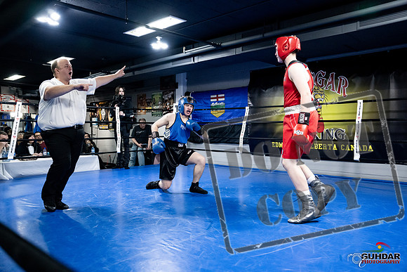 Cougar Boxing -0500