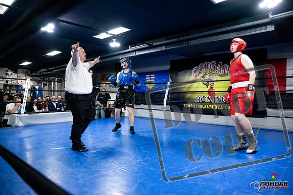Cougar Boxing -0501