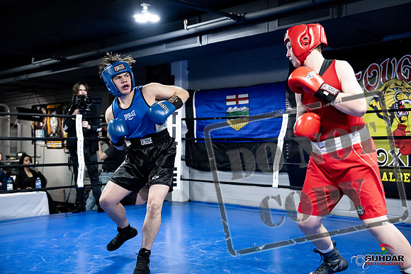 Cougar Boxing -0505