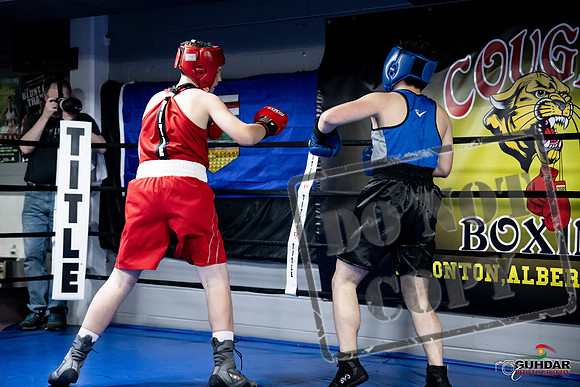 Cougar Boxing -0509