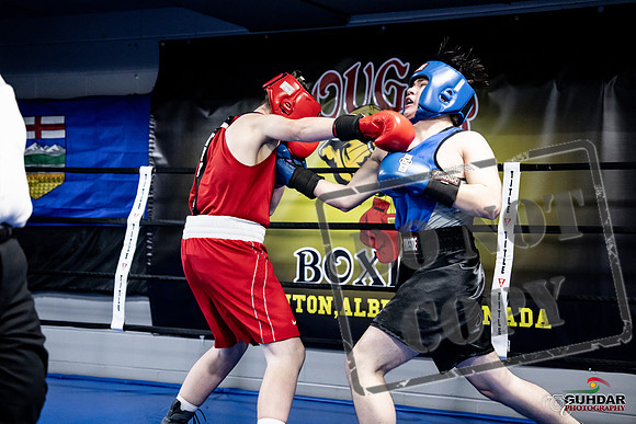 Cougar Boxing -0510