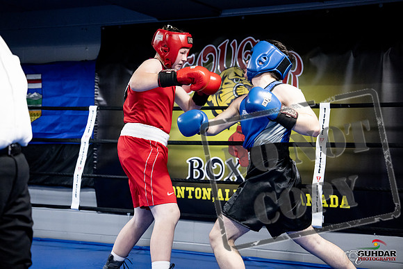 Cougar Boxing -0511