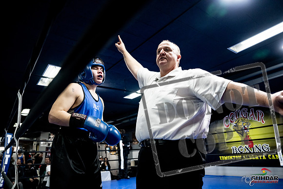 Cougar Boxing -0512