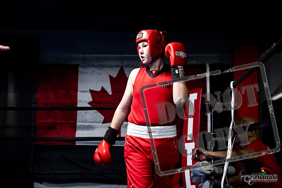 Cougar Boxing -0513