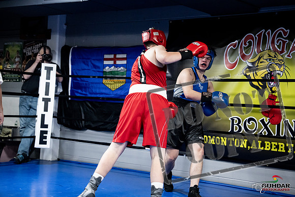 Cougar Boxing -0514