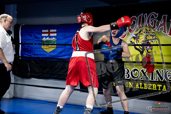 Cougar Boxing -0515