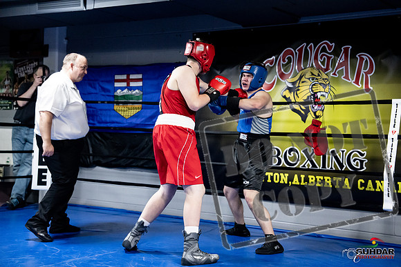 Cougar Boxing -0516