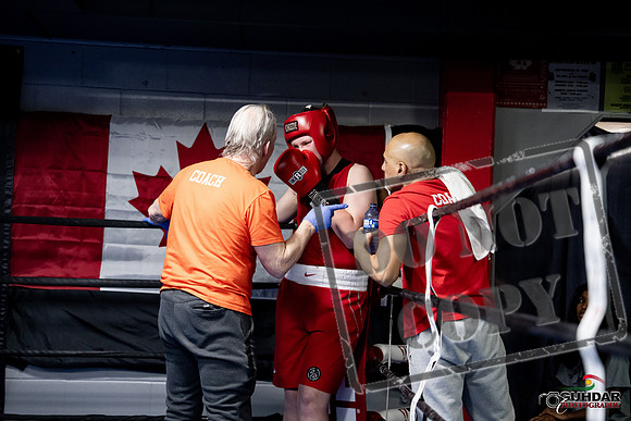 Cougar Boxing -0517