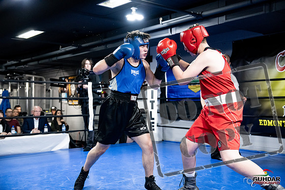 Cougar Boxing -0519