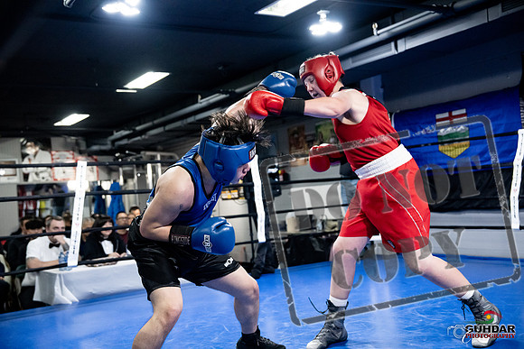 Cougar Boxing -0521