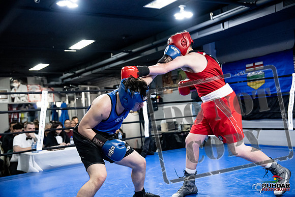 Cougar Boxing -0522