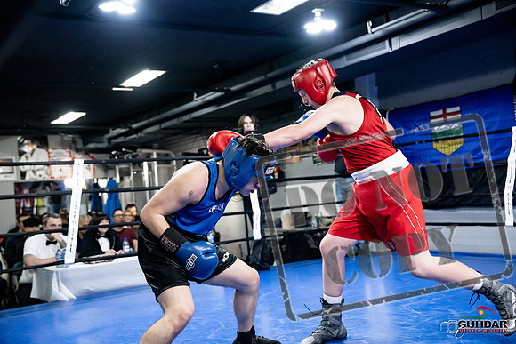 Cougar Boxing -0523