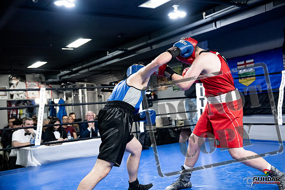 Cougar Boxing -0524