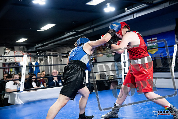 Cougar Boxing -0525