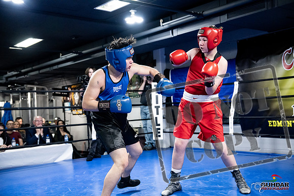 Cougar Boxing -0526