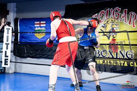Cougar Boxing -0527