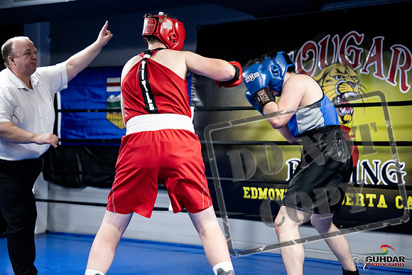 Cougar Boxing -0529