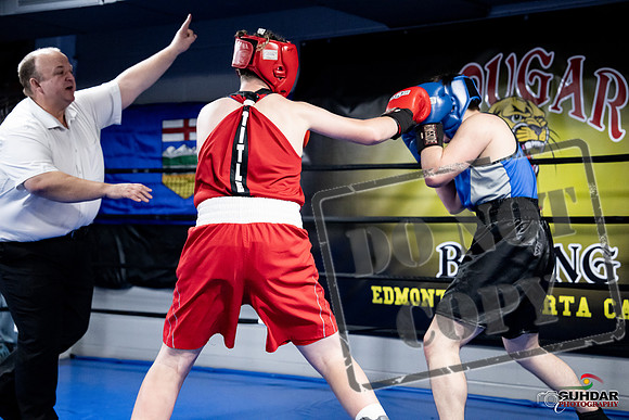 Cougar Boxing -0530