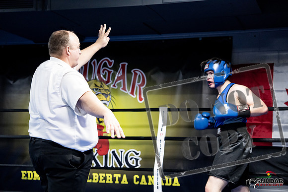Cougar Boxing -0532