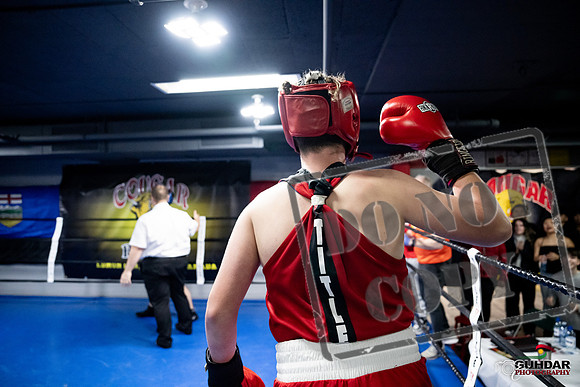 Cougar Boxing -0534