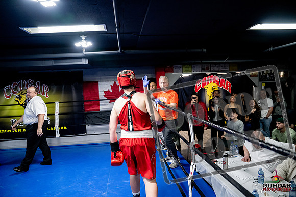 Cougar Boxing -0535