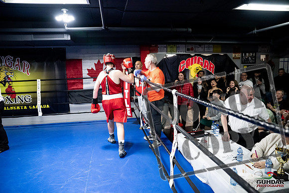 Cougar Boxing -0536