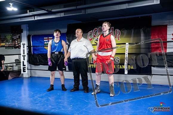 Cougar Boxing -0537
