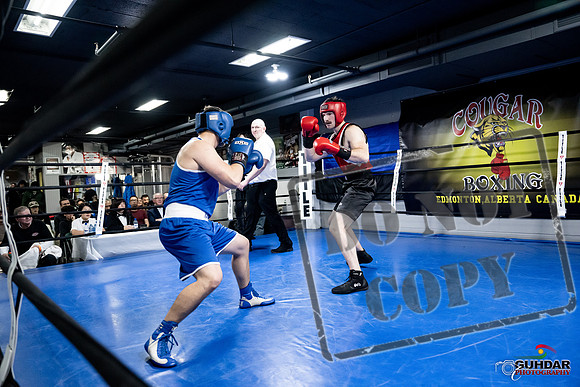 Cougar Boxing -0545
