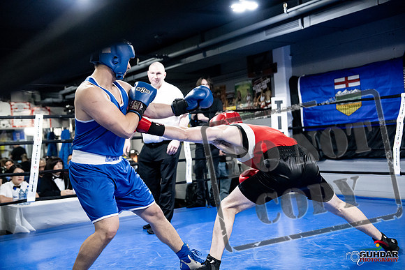 Cougar Boxing -0547