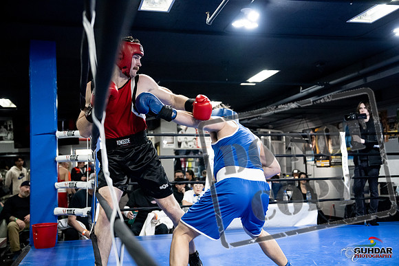 Cougar Boxing -0549