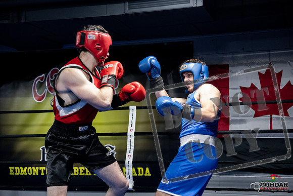 Cougar Boxing -0550