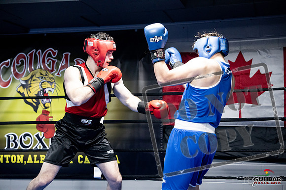 Cougar Boxing -0551
