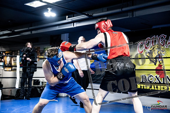 Cougar Boxing -0552