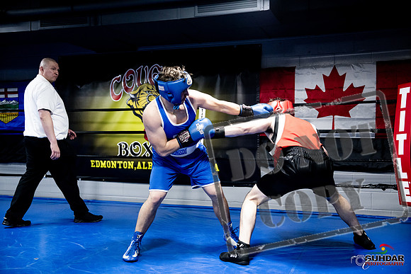 Cougar Boxing -0554
