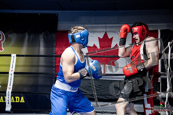 Cougar Boxing -0555