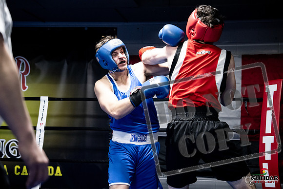 Cougar Boxing -0556