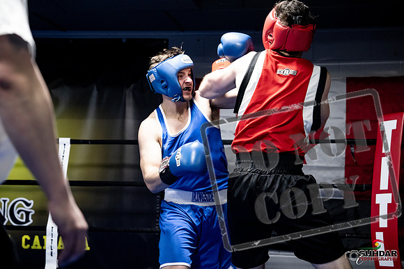 Cougar Boxing -0557