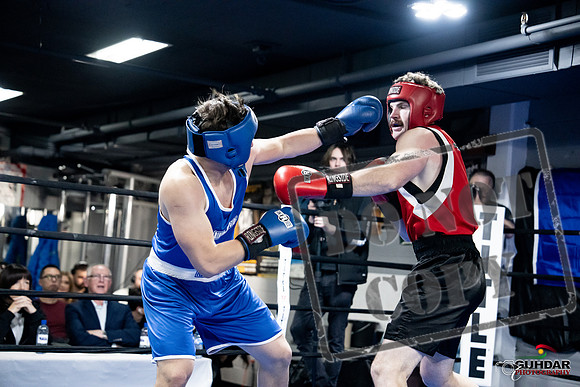 Cougar Boxing -0559