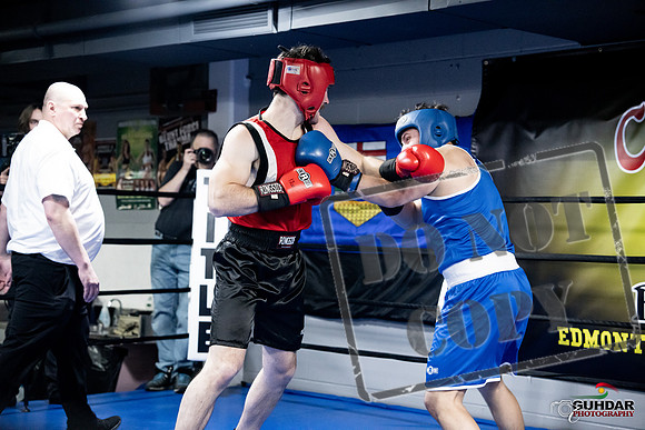 Cougar Boxing -0561