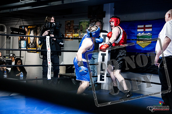 Cougar Boxing -0562