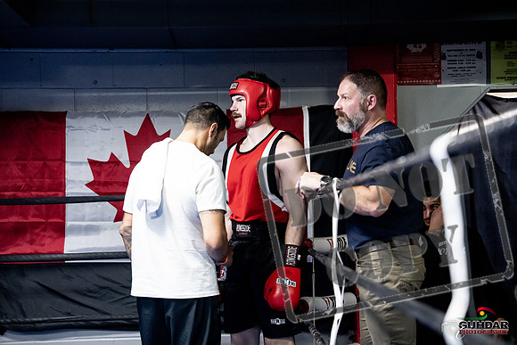 Cougar Boxing -0563